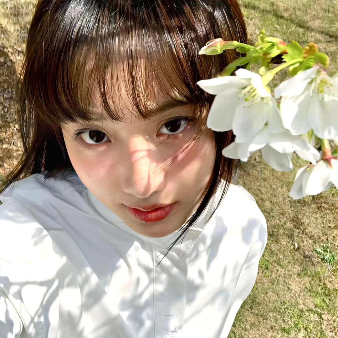 她不知道名字的那些鸟儿